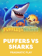 Puffers vs Sharks