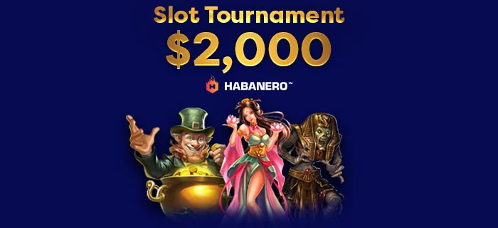 Promotion December 22 - 28