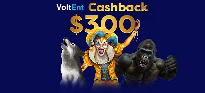 Promotion December 20 - Jan 1